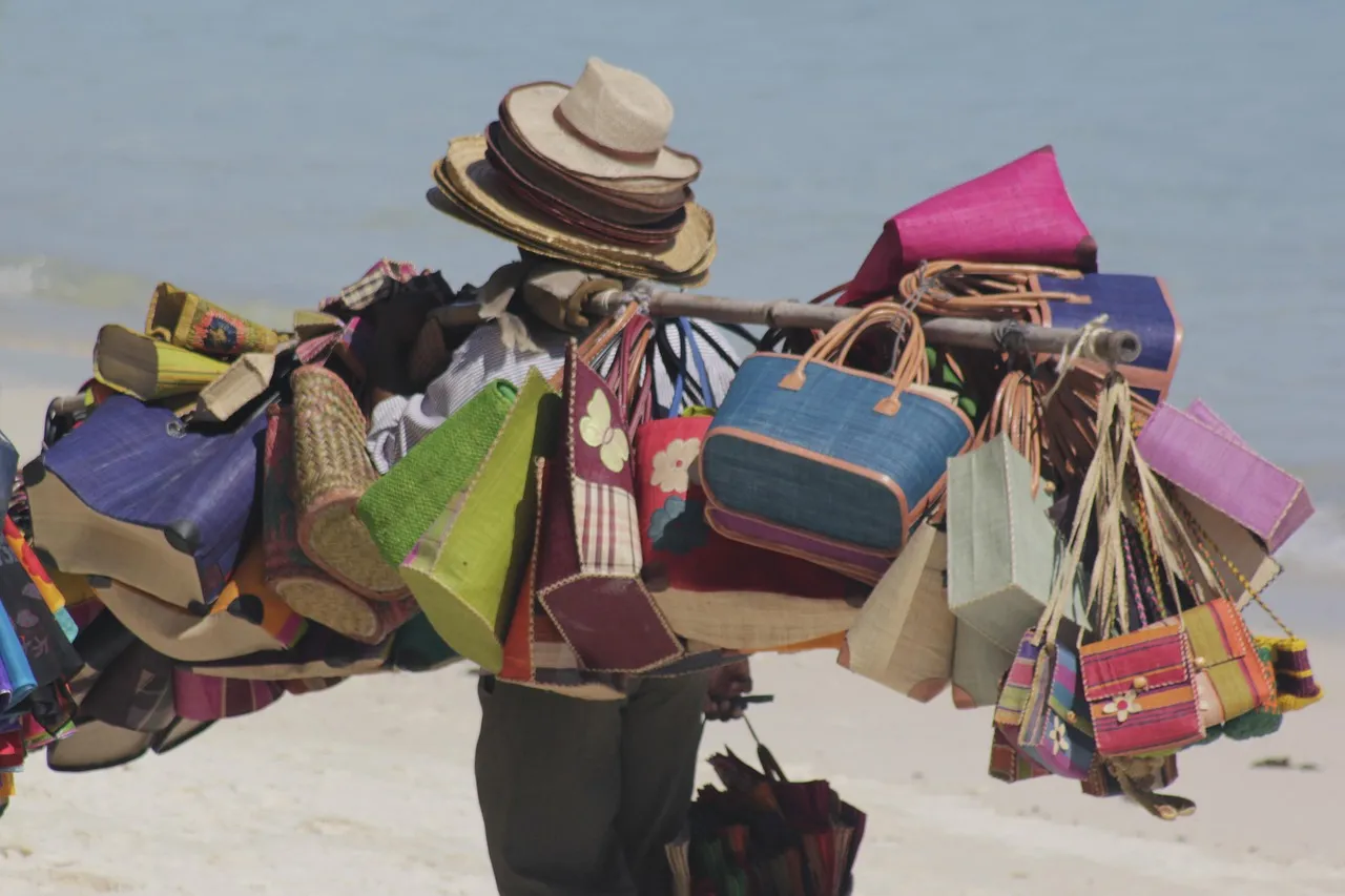 Beach Bag/Large Tote Bag - Wren Famliy By Rachel Curry