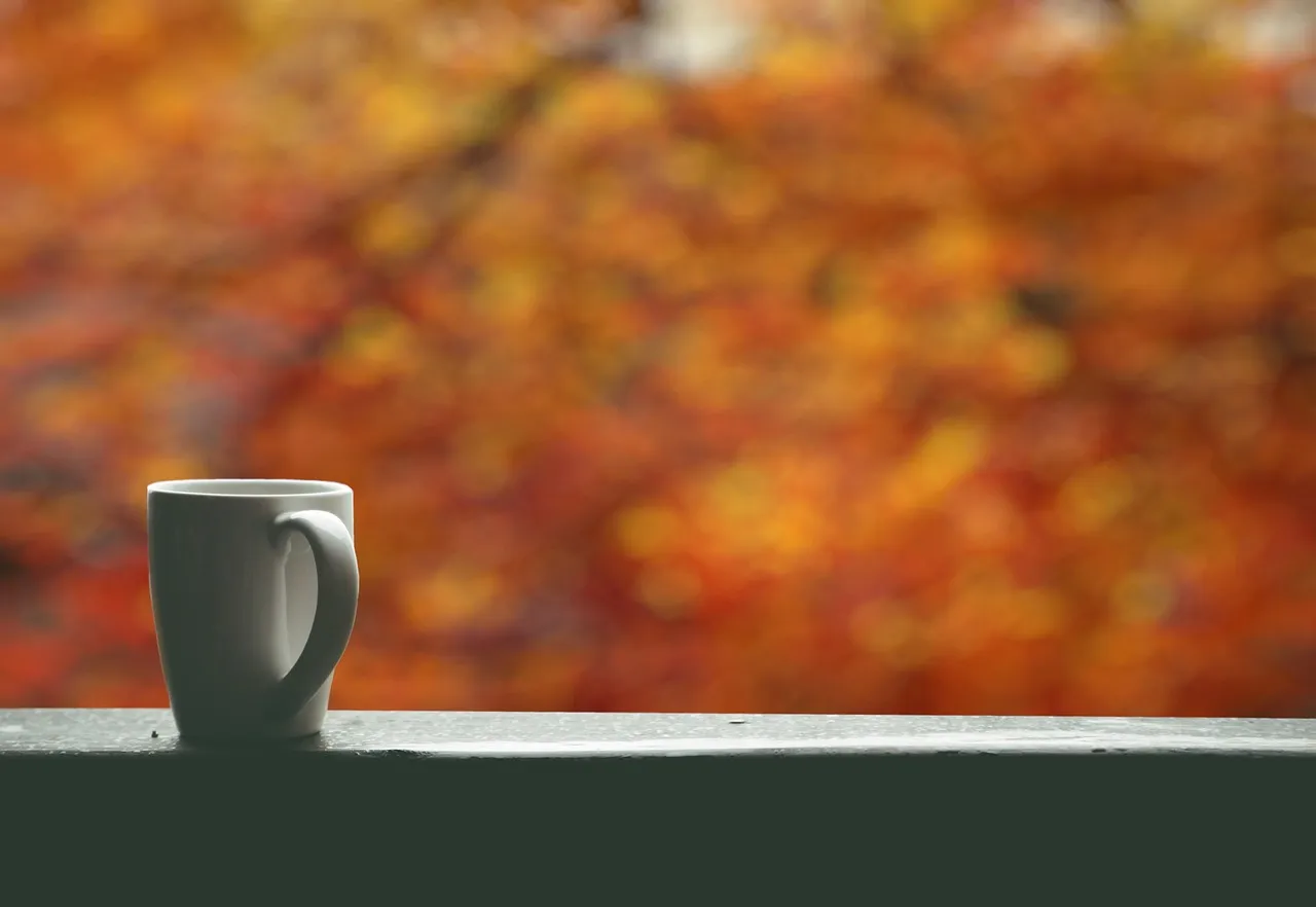 Mug - Echidnae by Sandra Temple