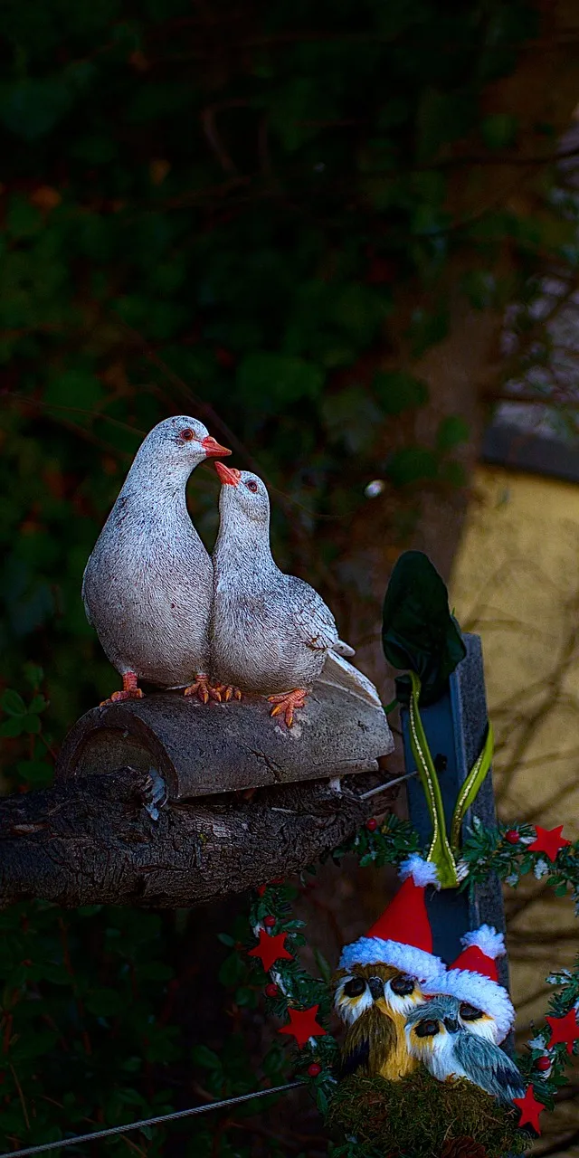Pillow - Galahs by Sandra Temple