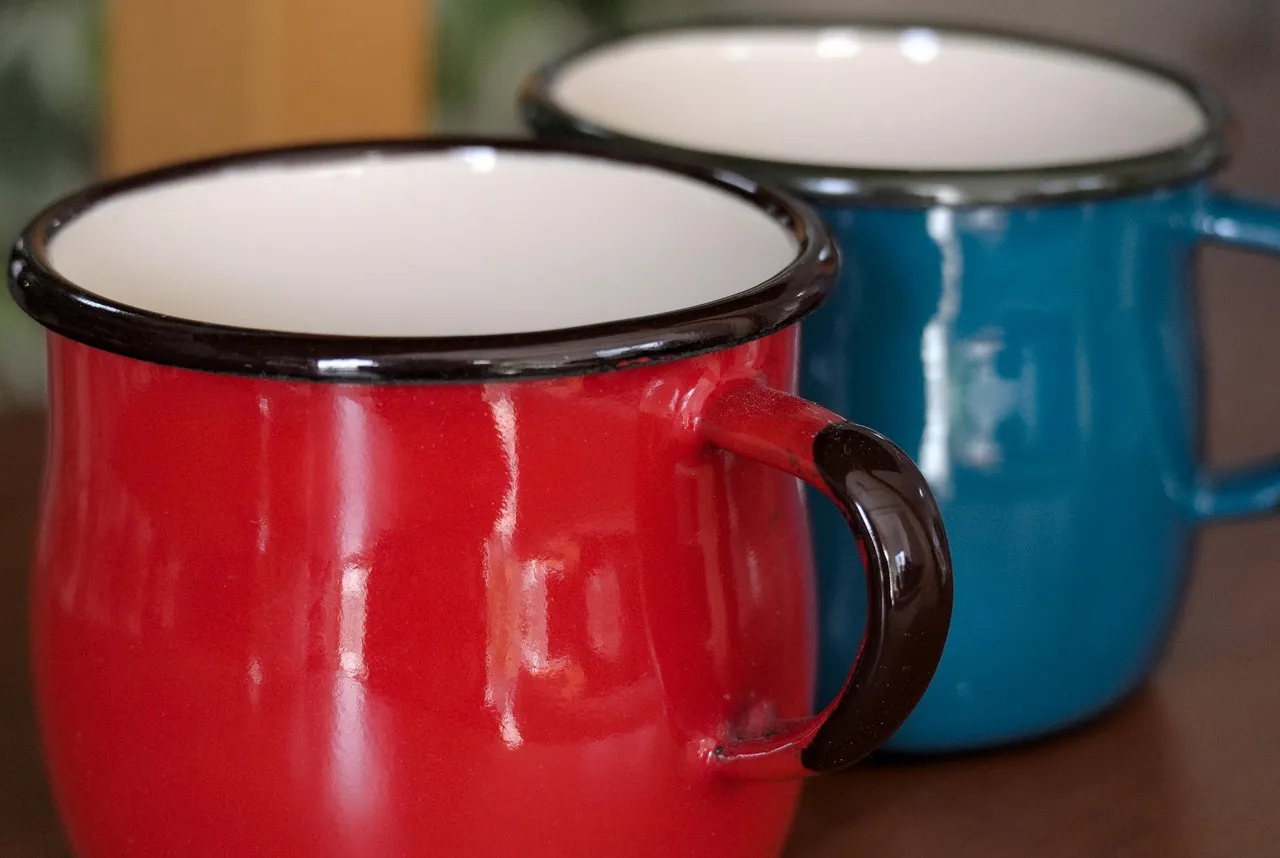 Mug - Echidnae by Sandra Temple