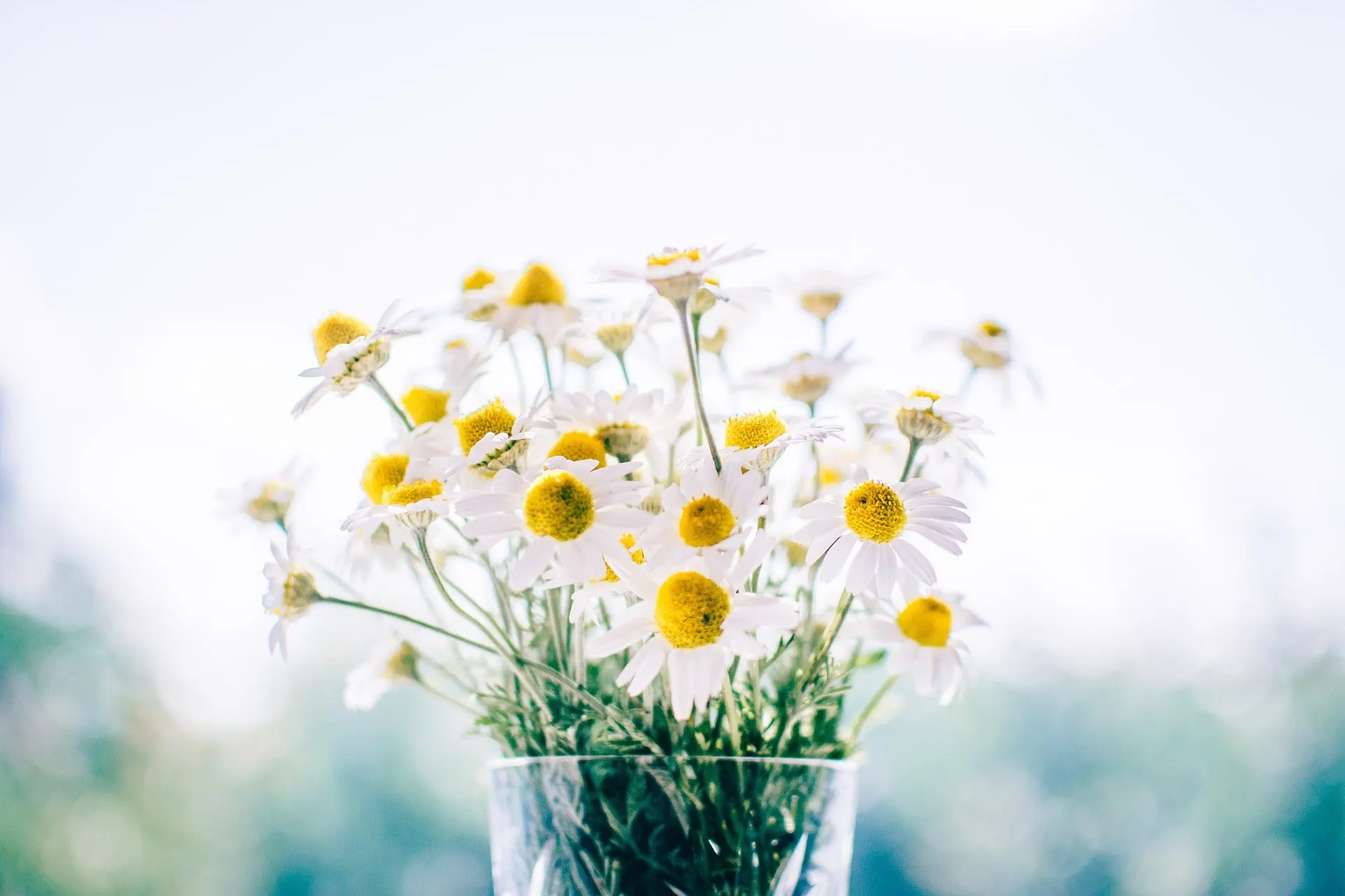 Natural Art for the Home