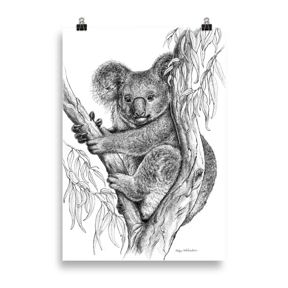 Wildlife Decor