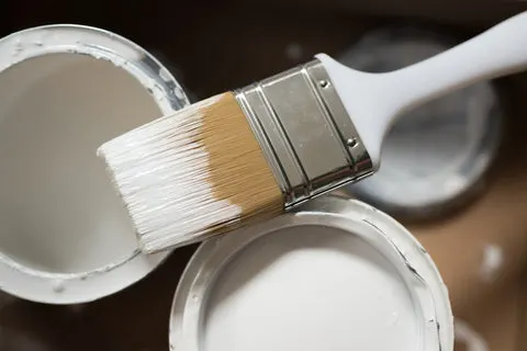 Painting and Designing Your Home - Inspired by Nature and Animals
