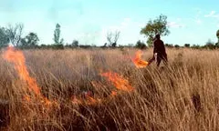 Warlpiri people burning grassland