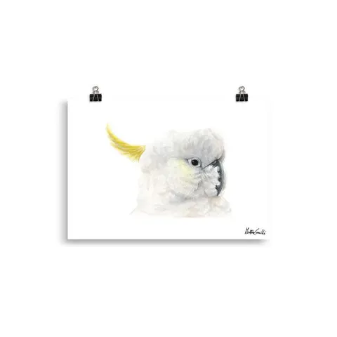matteo grilli cockatoo print