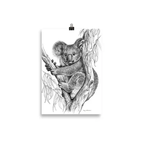 koala by nadya neklioudova