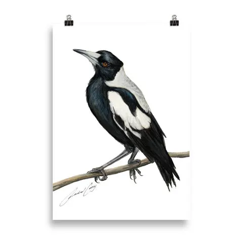 rachel curry magpie print