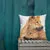 Pillow - Dingoes by Sandra Temple