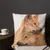 Pillow - Dingoes by Sandra Temple