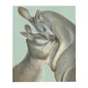Throw Blanket - Kangaroo mum and her joey by Rachael Curry