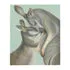 Throw Blanket - Kangaroo mum and her joey by Rachael Curry