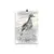 Print - Curlew by Tracy Church