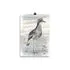 Print - Curlew by Tracy Church