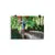 Print - Rainforest King - Cassowary - by Sandra Temple