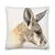 Premium Pillow - Young Red Roo by Matteo Grilli