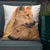 Pillow - Dingoes by Sandra Temple
