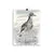 Print - Curlew by Tracy Church