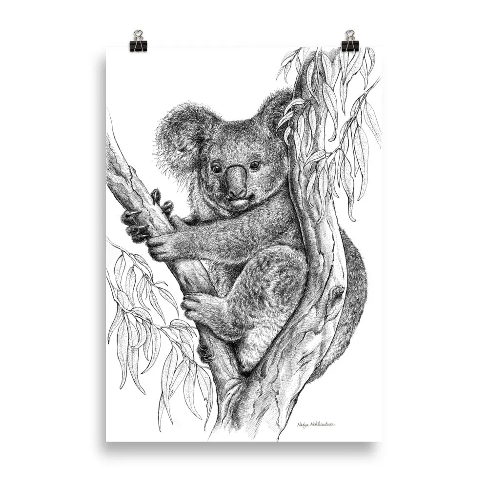 Print - Koala by Nadya Neklioudova