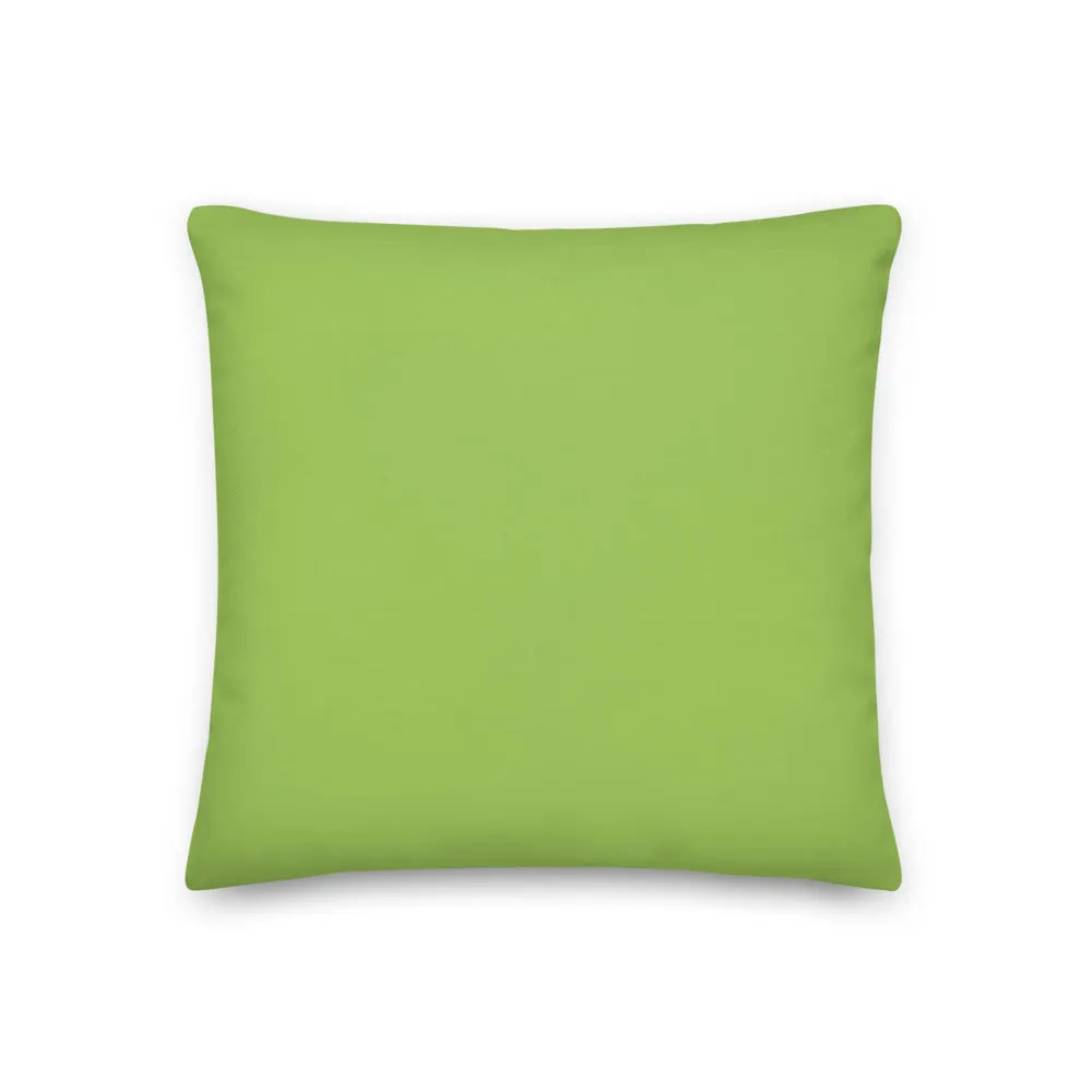 Pillow - Rainbow Lorikeet by Alan Young