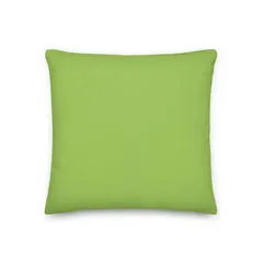 Pillow - Rainbow Lorikeet by Alan Young
