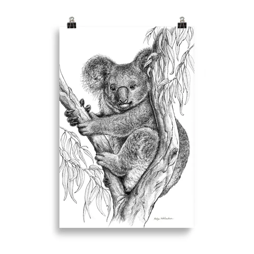 Print - Koala by Nadya Neklioudova