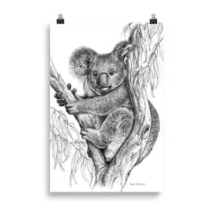 Print - Koala by Nadya Neklioudova