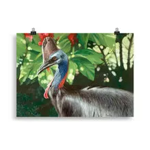 Rainforest King Cassowary by Sandra Temple