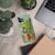 iPhone Case - Rainbow Lorikeet by Alan Young
