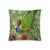 Pillow - Rainbow Lorikeet by Alan Young