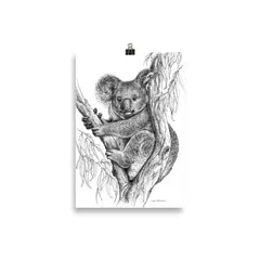Print - Koala by Nadya Neklioudova