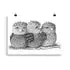 Print - Tawny Frogmouths by Claudine Dunn