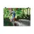 Print - Rainforest King - Cassowary - by Sandra Temple