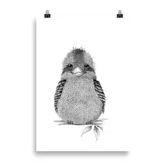 Kookaburra Art