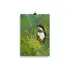 Print - Eastern Spinebill by Alan Young