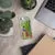 iPhone Case - Rainbow Lorikeet by Alan Young