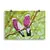 Print - Galahs by Alan Young