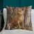 Pillow -  Dingo by Sandra Temple
