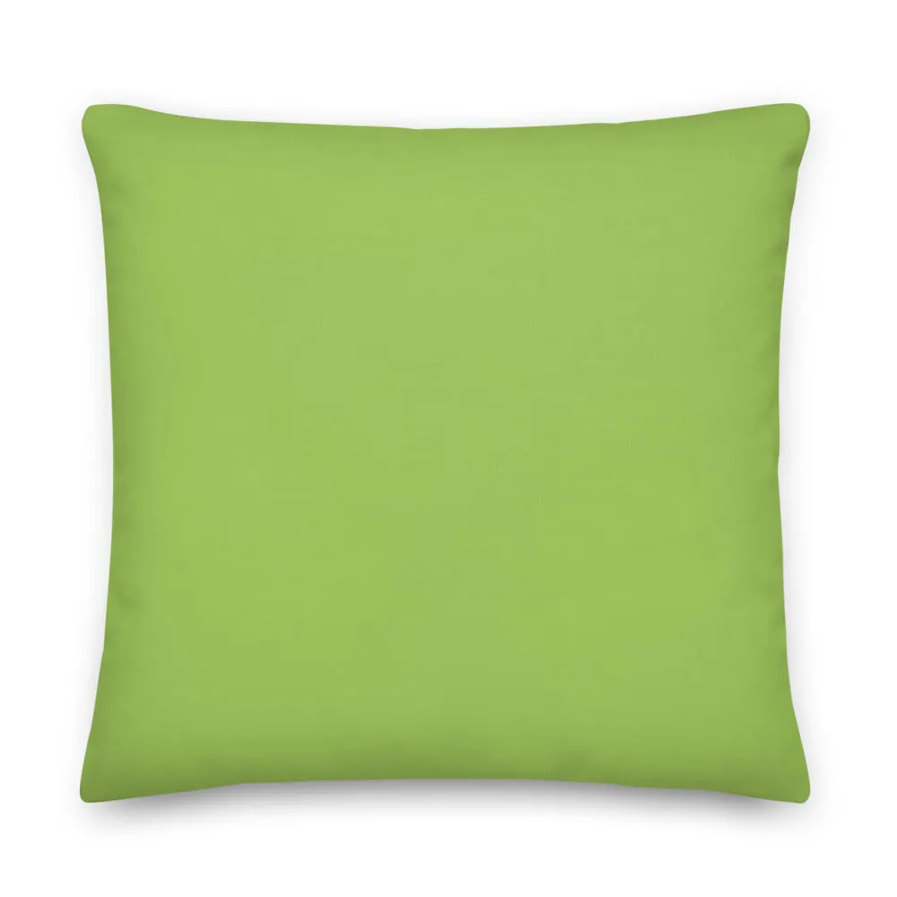 Pillow - Rainbow Lorikeet by Alan Young