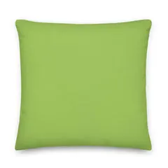 Pillow - Rainbow Lorikeet by Alan Young