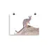 Print - Rock Wallaby by Rachael Curry