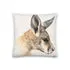 Pillow - Young Red Roo by Matteo Grilli