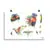 Frameless Print - Lorikeet Sketches by Matteo Grilli