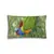 Pillow - Rainbow Lorikeet by Alan Young