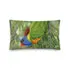Pillow - Rainbow Lorikeet by Alan Young