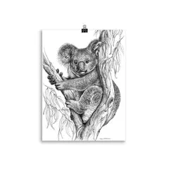 Print - Koala by Nadya Neklioudova