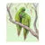 Throw Blanket - Lorikeets by Nadya Neklioudova