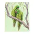Throw Blanket - Lorikeets by Nadya Neklioudova
